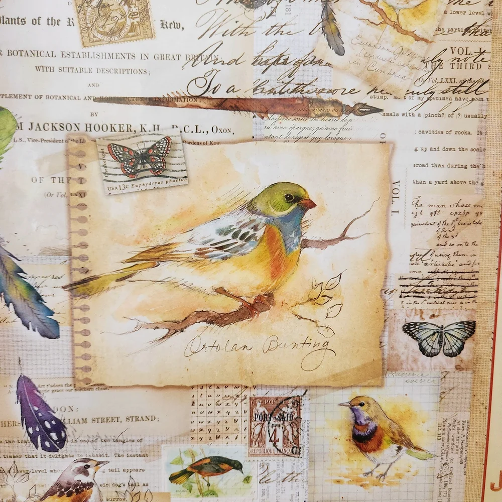 Bird-Themed Jigsaw Puzzle - Multicolor